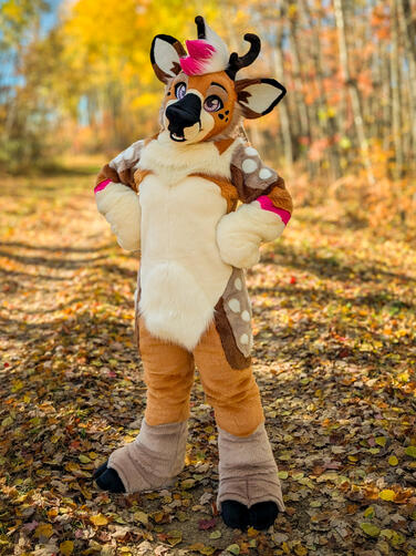 Theo Deer Theo Deer